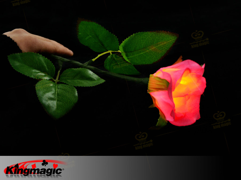 Lighting Rose (Magnetic Control)