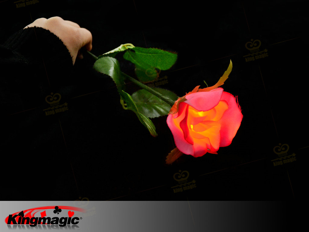 Lighting Rose (Magnetic Control)