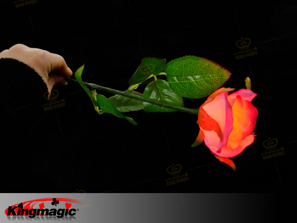 Lighting Rose (Magnetic Control)