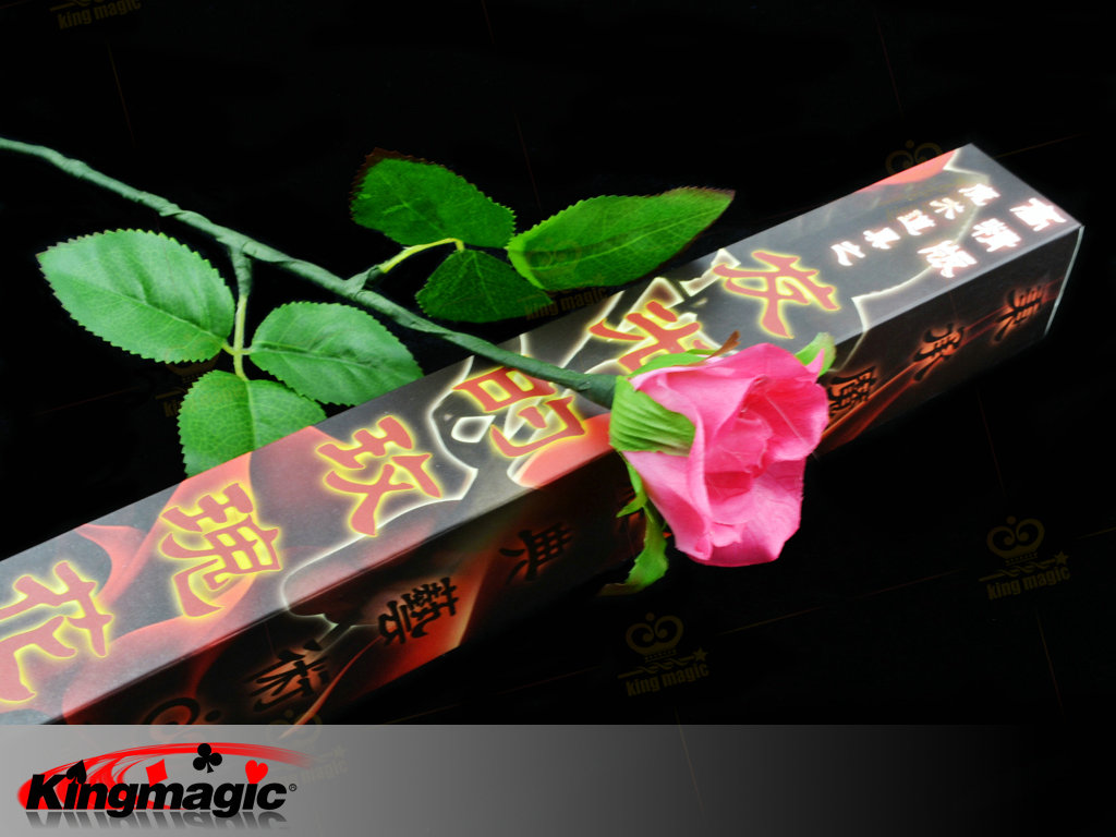 Lighting Rose (Magnetic Control)